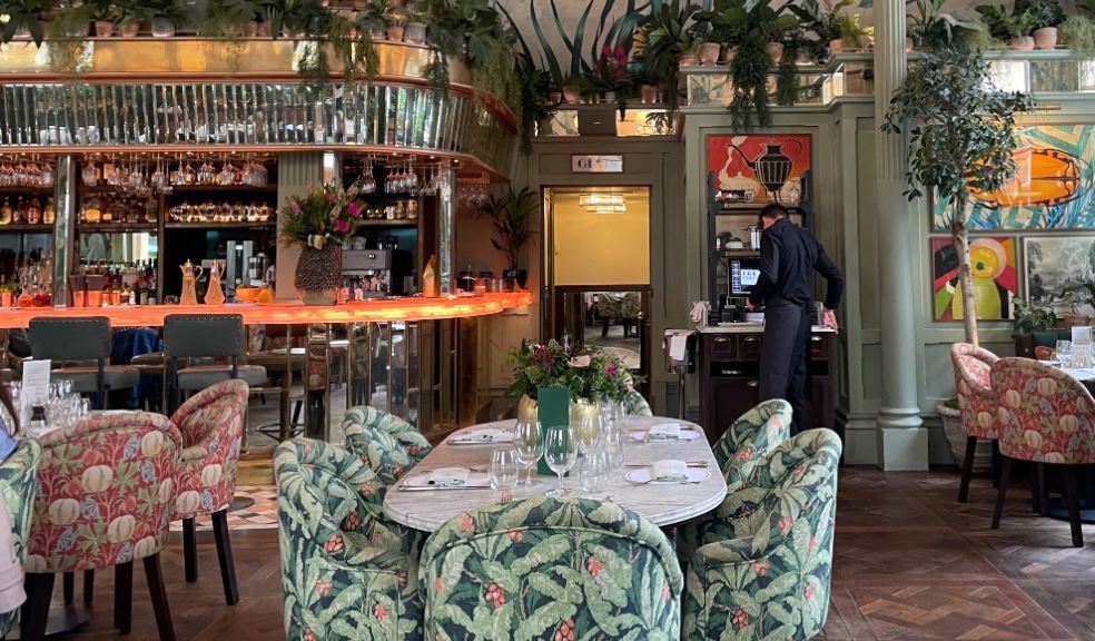 Exeter's The Ivy is blooming' great! The Devon Daily